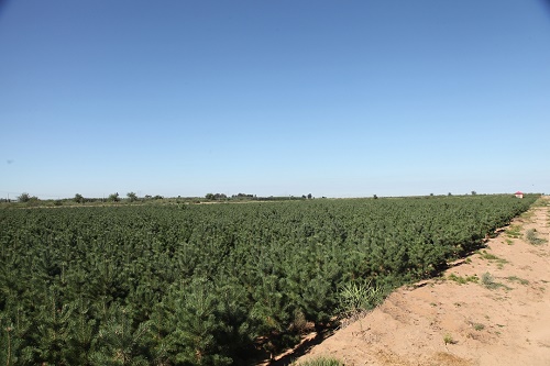 基地原圖 基地原圖